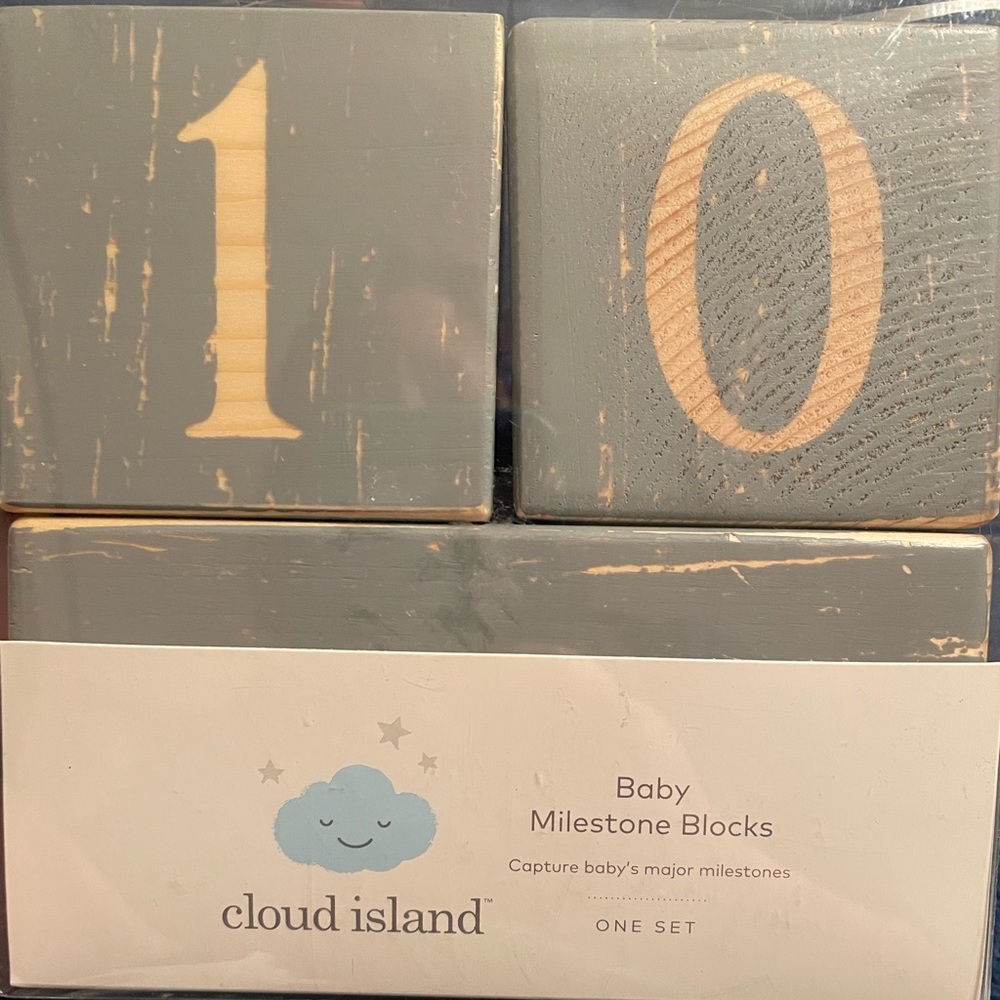 Cloud Island Baby Milestone Blocks